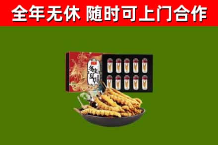 鲁山县烟酒回收冬虫夏草礼盒.jpg